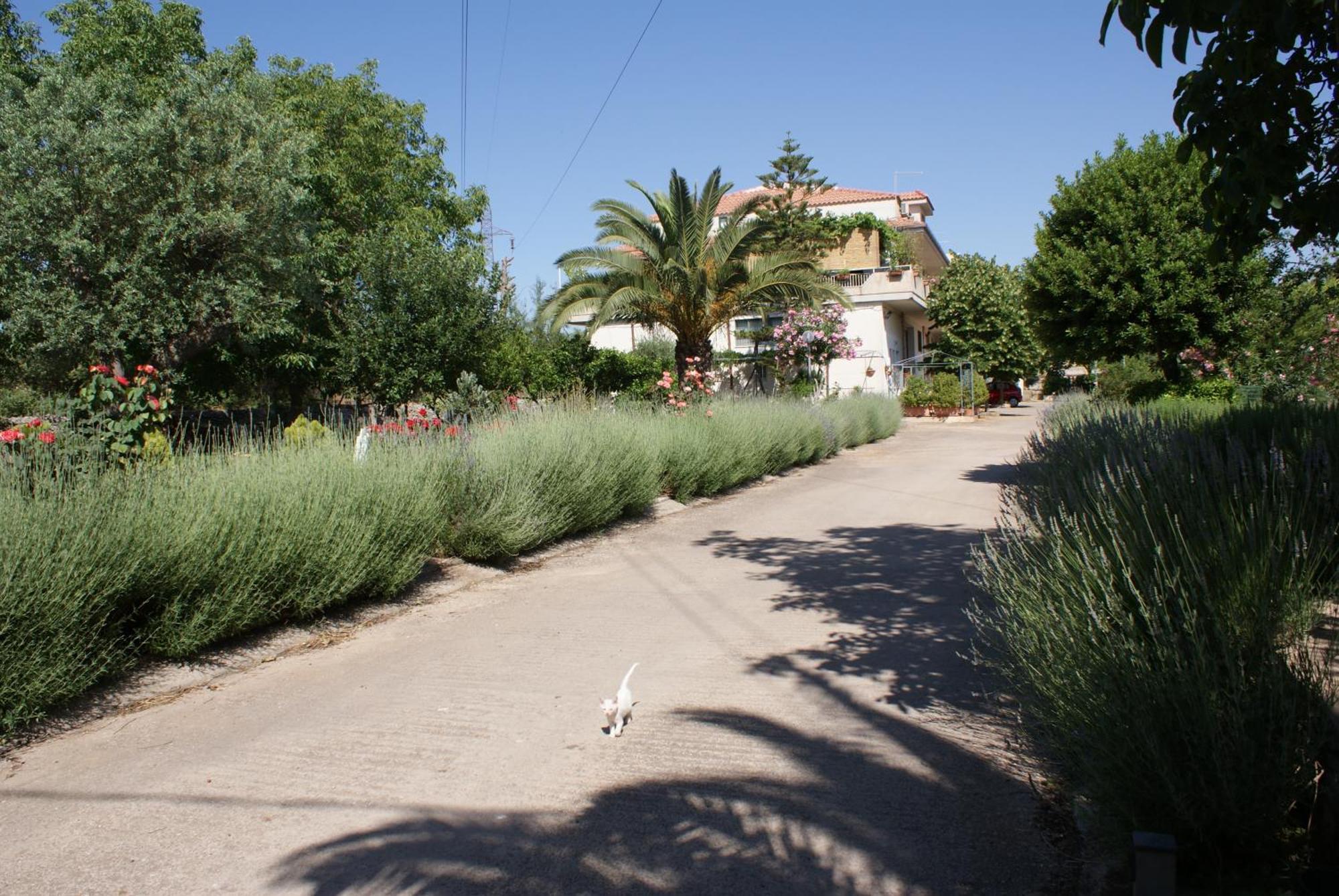 Giogaia Bed & Breakfast Modica Eksteriør bilde